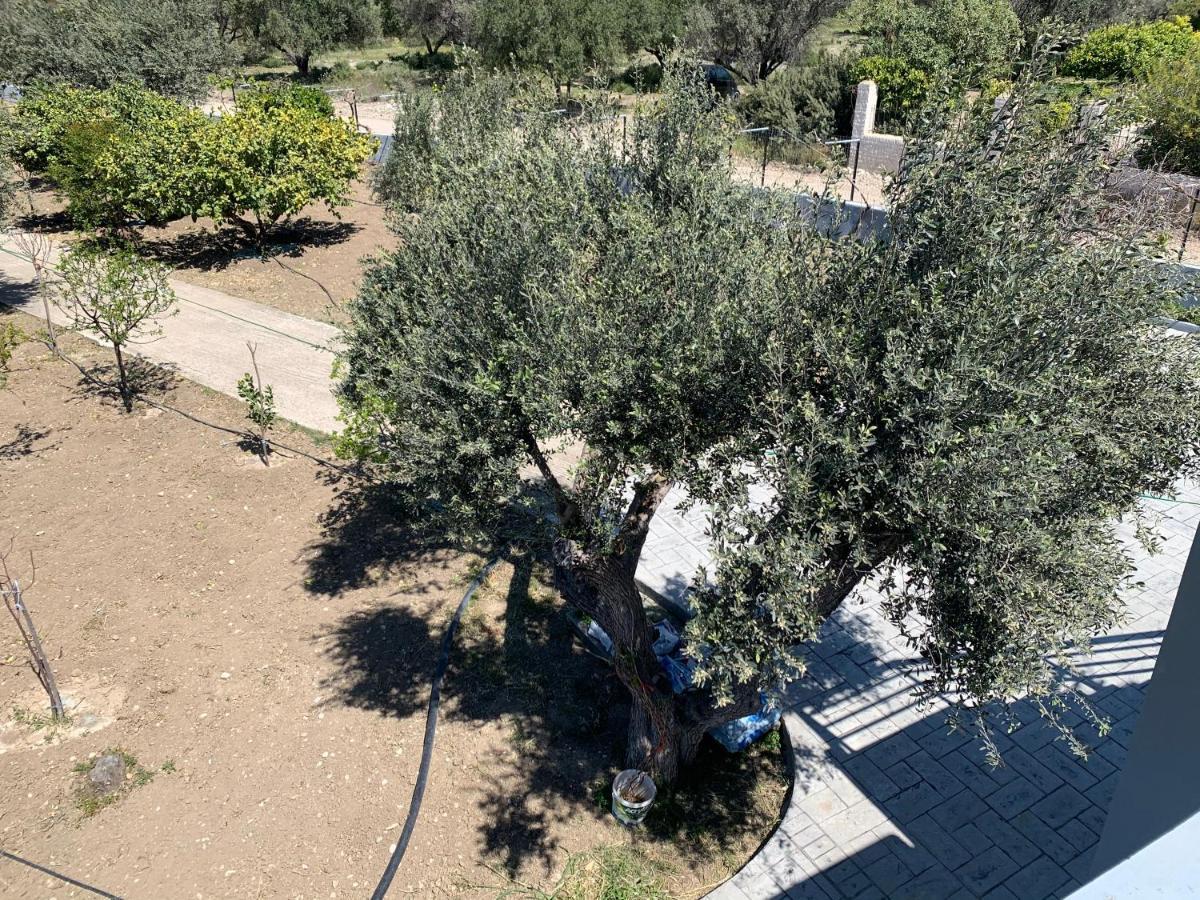 Villa Secret Edem à Kolymbia Extérieur photo
