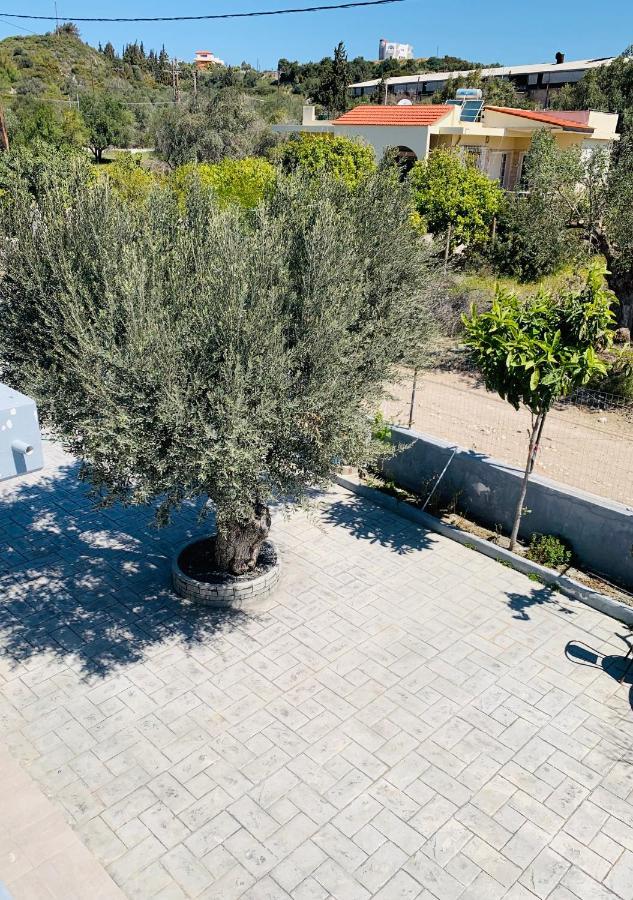 Villa Secret Edem à Kolymbia Extérieur photo
